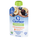 GERBER®有機果蓉 - 香蕉•藍莓•黑莓•燕麥 (1箱) (新舊包裝隨機發送)