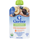 GERBER®有機果蓉 - 香蕉•藍莓•黑莓•燕麥 (1箱) (新舊包裝隨機發送)