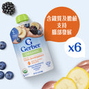 Gerber 嘉寶有機果蓉 - 香蕉•藍莓•黑莓•燕麥99克X6包裝 (1箱)