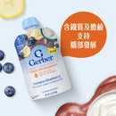 Gerber 嘉寶水果乳酪香蕉藍莓味 99克 X 6包裝(1箱)